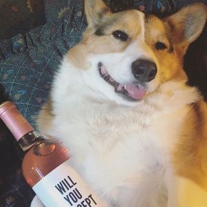 Meet your Posher, Kaye